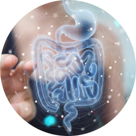 Circle Image